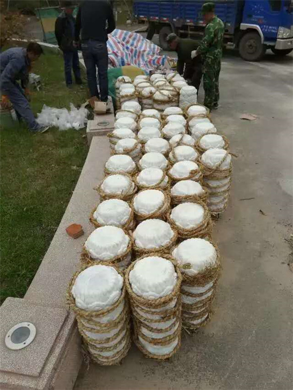 哈尔滨地震局装饰雕塑